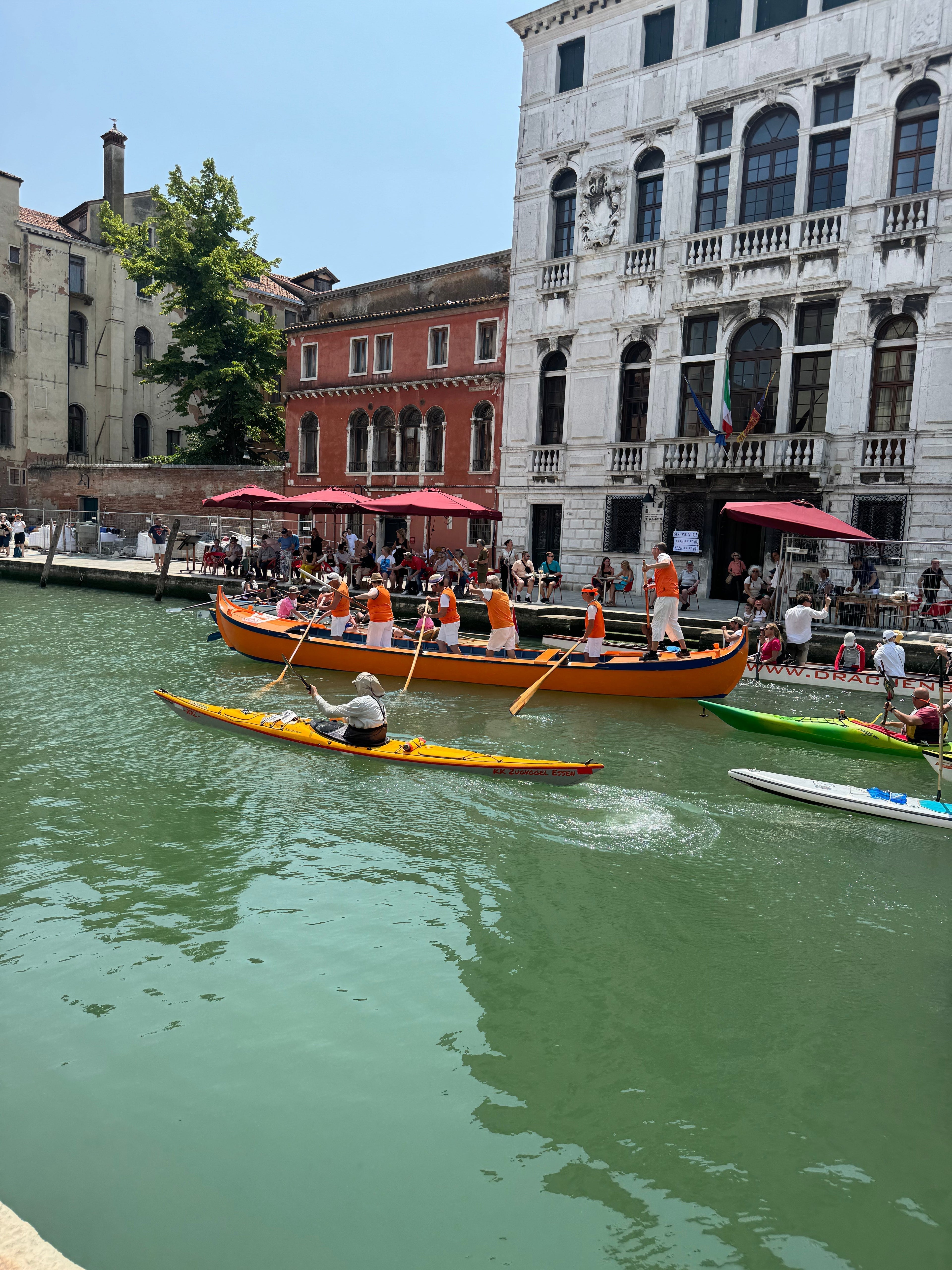 Rowing Through History: Vogalonga 2025 in Venice
