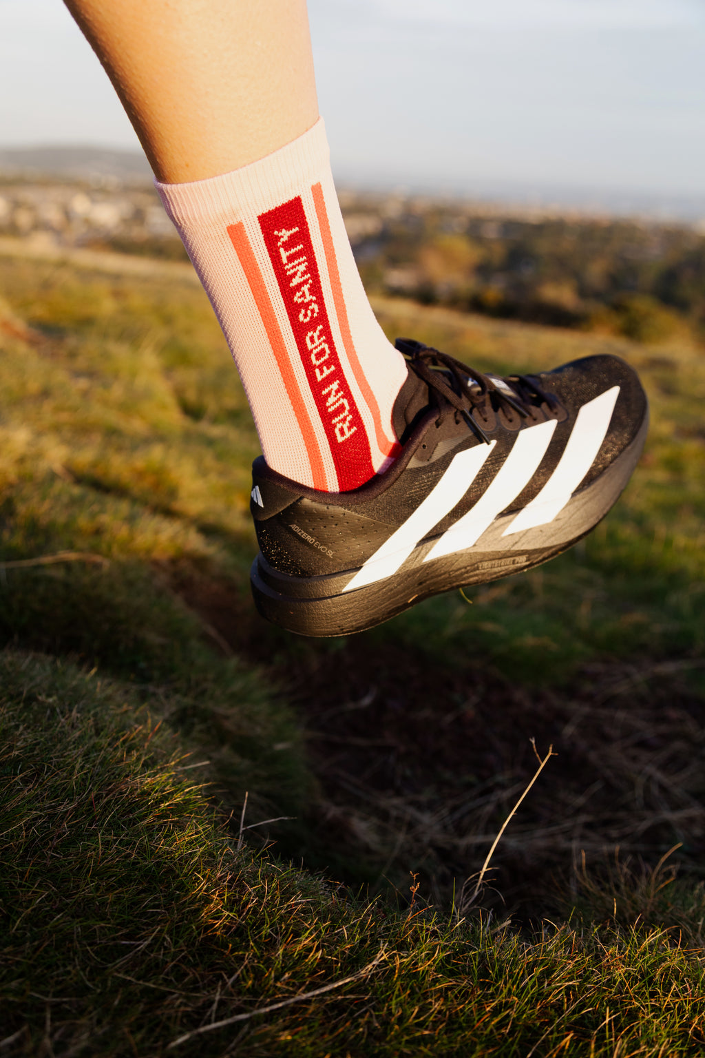 Run For Sanity Not Vanity - Running Socks